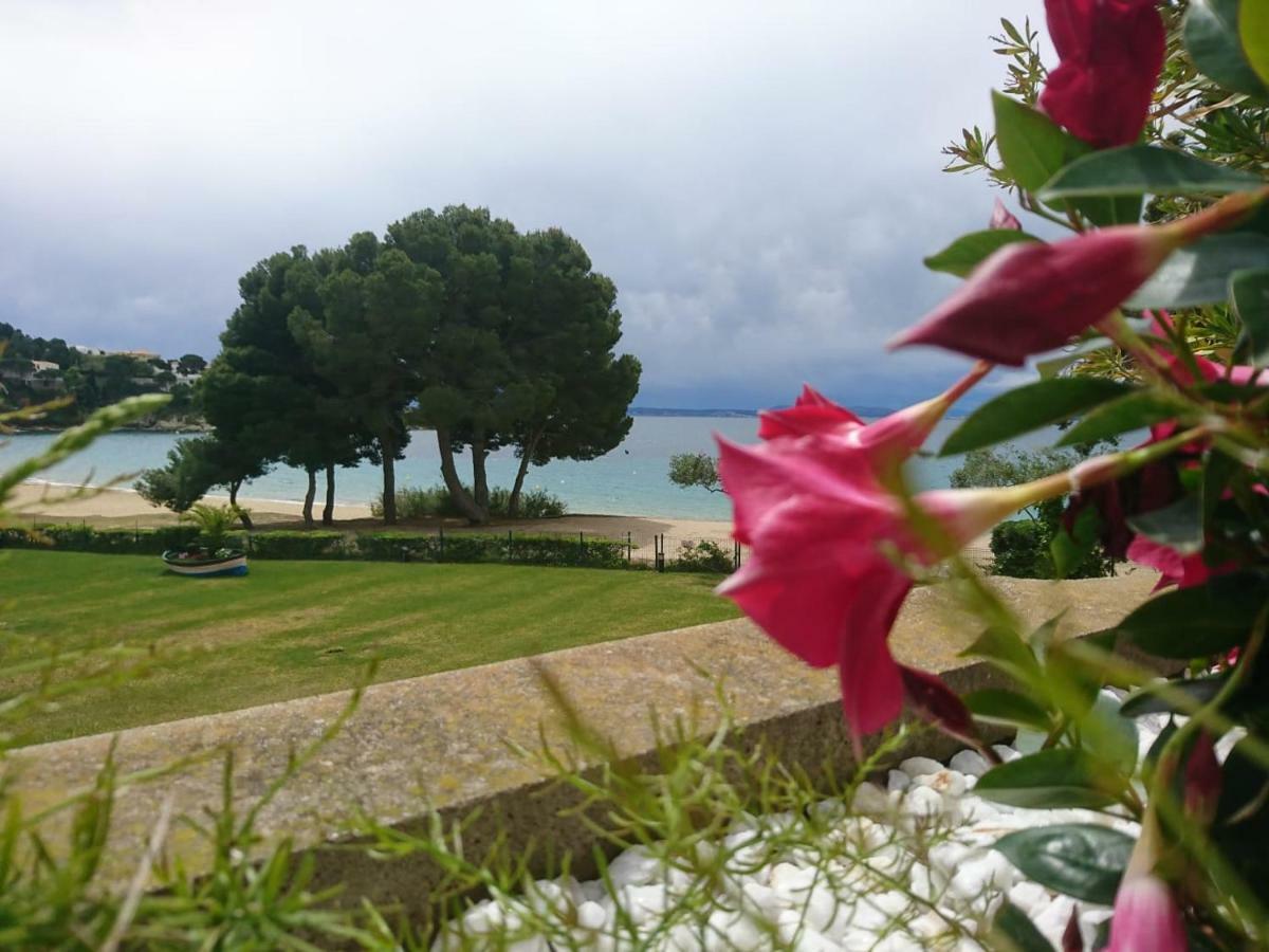Almadraba * Roses